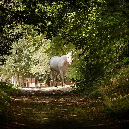 Novotel Domaine De - Paris Val-d'oise